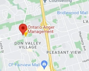 Anger Management Treatment Anger Control Map